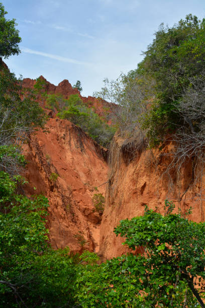 istock Bong Lai Red Canyons 987584836
