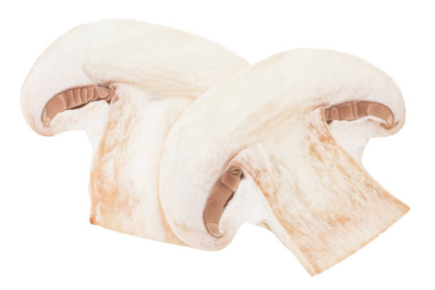 slices champignon mushrooms isolated on white background stock photo