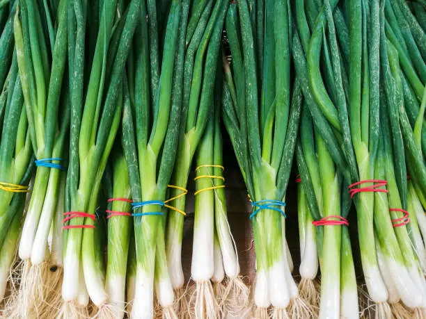 Photo of Close up of fresh spring onions in a row