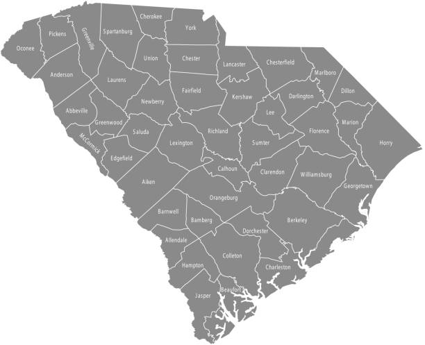 illustrations, cliparts, dessins animés et icônes de caroline du sud contour vector comté carte avec les noms de comtés marquée en fond gris - south carolina map cartography outline