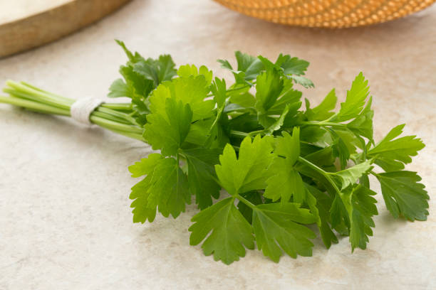 istock Bunch of fresh green lovage 987637802