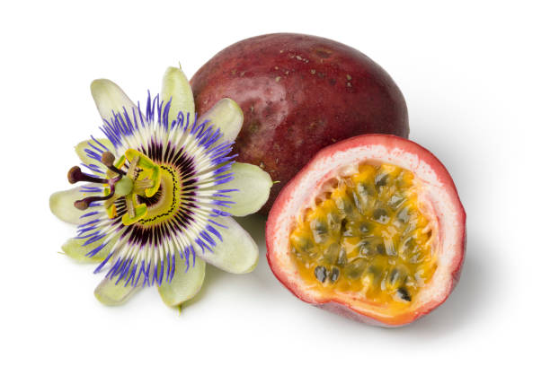 Passiflora edulis fruit and flower Passiflora edulis fruit and flower isolated on white background passion fruit flower stock pictures, royalty-free photos & images