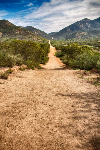 istock Urban Parkland Hiking Trail 987643372