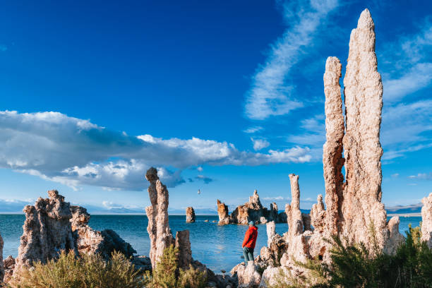 Solo Traveller at Mono Lake Solo Traveller contemplates the Tufa Formations at Mono Lake in California Mono Lake stock pictures, royalty-free photos & images