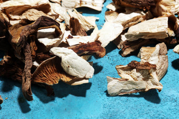 istock dried mushrooms on blue background. 987655392