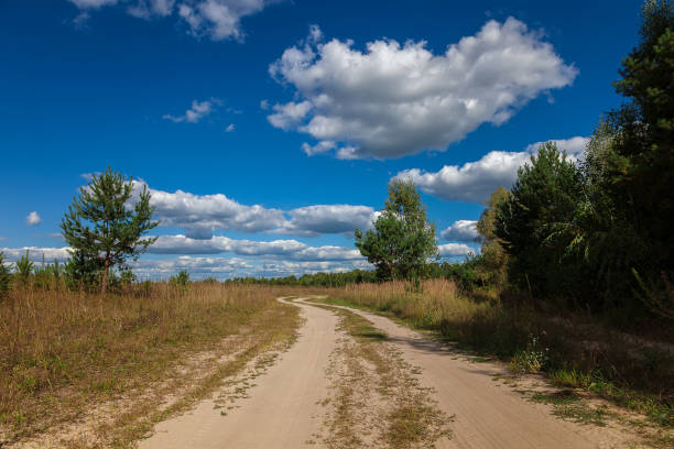 istock Road, trees, meadow against a blue sky with white clouds 987659388