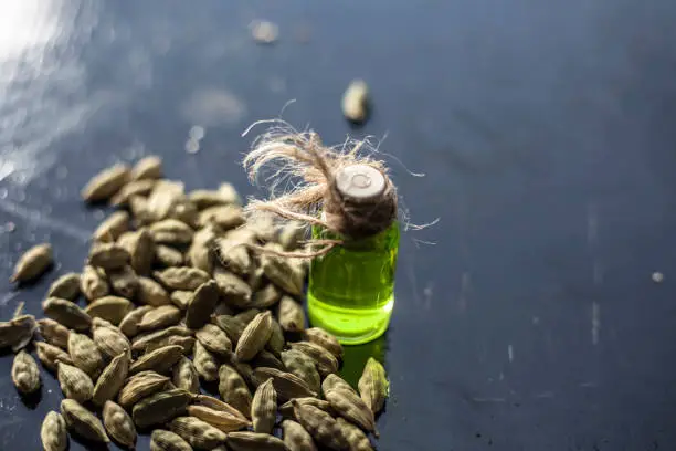 Raw organic green cardamom or elaichi or Elettaria cardamomum or true cardamom with its essence on wooden surface used in many beverages as a flavoring liquid.;