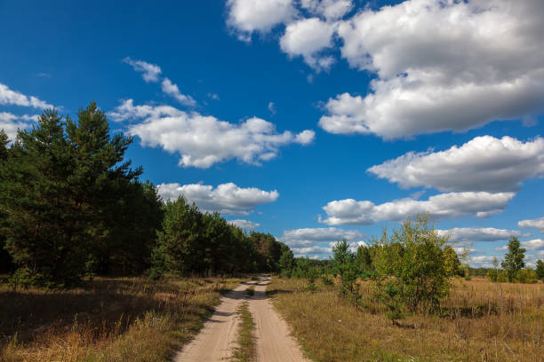 istock Road, trees, meadow against a blue sky with white clouds 987666544