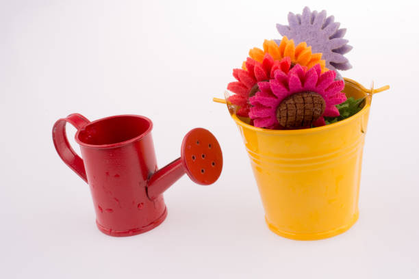 Flowers in bucket and watering can on white background