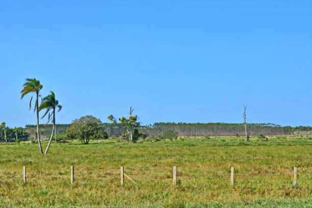 istock Rural Landscape with River and Sun 987709938