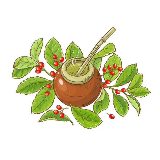 Vector illustration of mate tea vector illustration