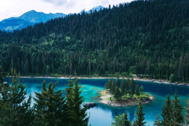 필름, 스위스 근처 caumasee 호수 - landscape laax graubunden canton switzerland 뉴스 사진 이미지