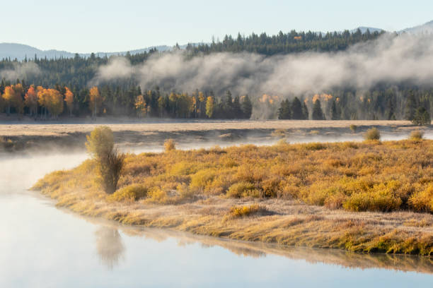 istock Foggy Morning in the Tetons in Autumn 987724986