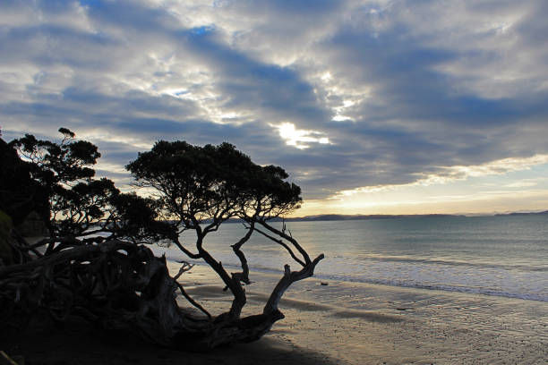 istock Stunning sunset in Whangaparaoa 987734932
