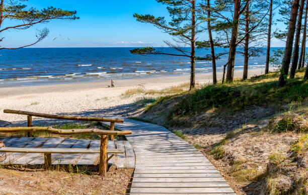 ユールマラの晴れた日に海岸の風景 - ラトビア ストックフォトと画像