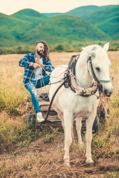 istock Handsome Male Horse Trainer Working With Horse Pulling Cart On Sunny Day 987740530