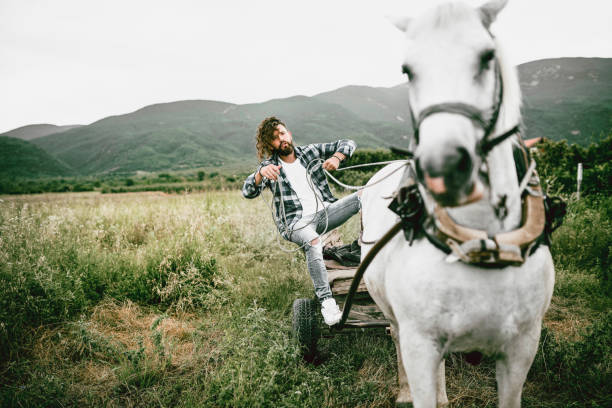 Horse Trainer Working With Horse And Carriage