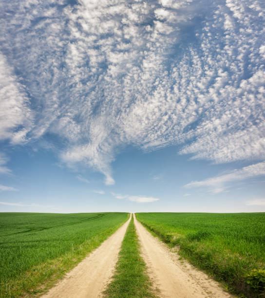istock Road in the field 987763490