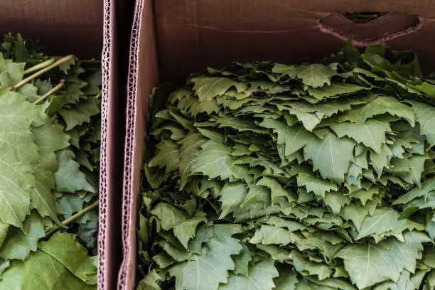 Group of fresh grape leaves on a counter in an open marketplace