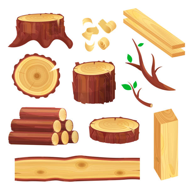 zestaw kłód drewnianych - tree ring stock illustrations