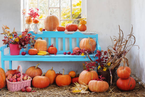 istock pumpkins, apples, flowers in old room 987788568