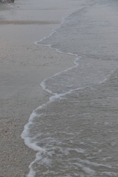 istock Sand dunes and beach with ocean 987804798
