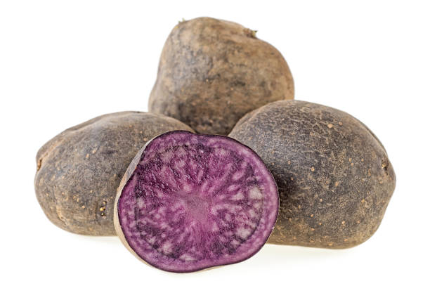 istock Purple potatoes on a white background. Vitelotte potatoes. 987805286