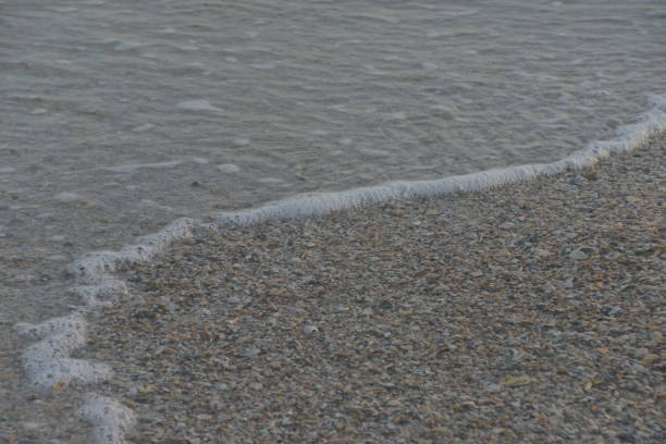 Sand dunes and beach with ocean in evening light