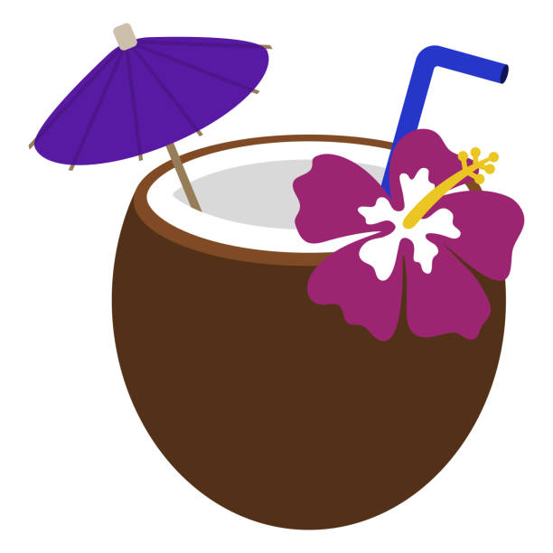 ilustraciones, imágenes clip art, dibujos animados e iconos de stock de bebida de coco - summer party drink umbrella concepts