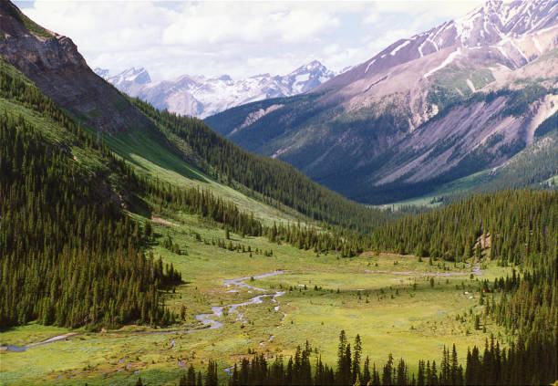 Rocky Mountain landscape along the trail to Skoki Lodge. The high mountain wilderness  trail is about 20 miles east of Lake Louise in Banff National Park.