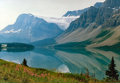 Bow Lake in summer with morning reflection