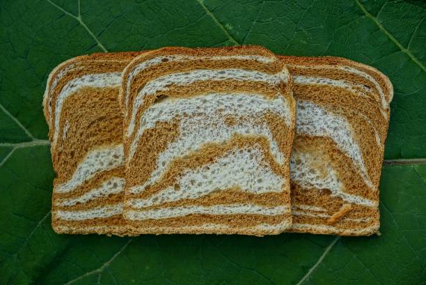 istock three pieces of square colored bread on a green leaf 987886880