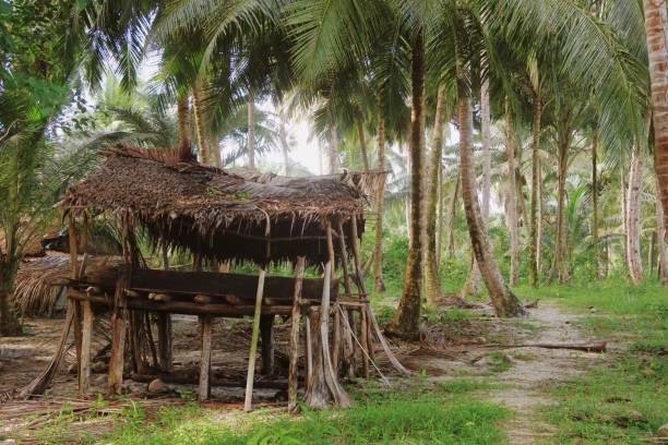istock Abandoned jungle coconut hut 987887928
