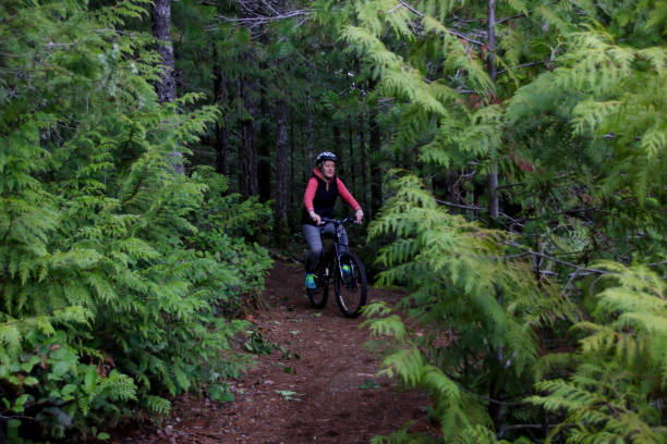istock Biking through Vancouver Island Forests 987890834
