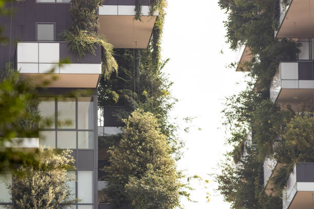 istock Green futuristic skyscraper 987892538