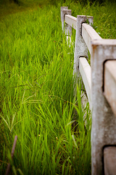 white concrete fence in horse farm field - picket line fotos imagens e fotografias de stock