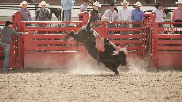 Competition Rodeo Bull Riding