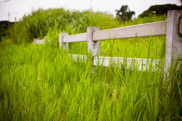 white concrete fence in horse farm field - picket line fotos imagens e fotografias de stock