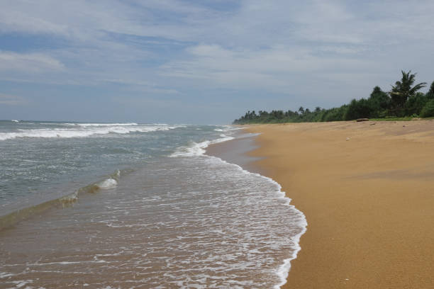 istock Tropical sandy beach in Sri Lanka 987930838