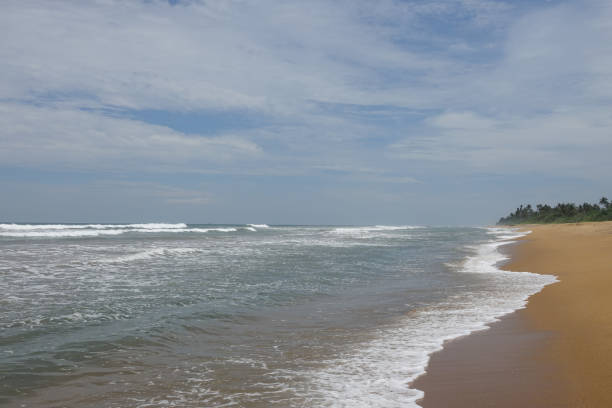 istock Tropical sandy beach in Sri Lanka 987930878