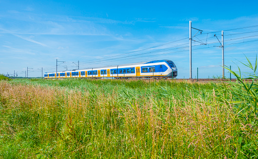 Train riding along a field in sunlight in summer