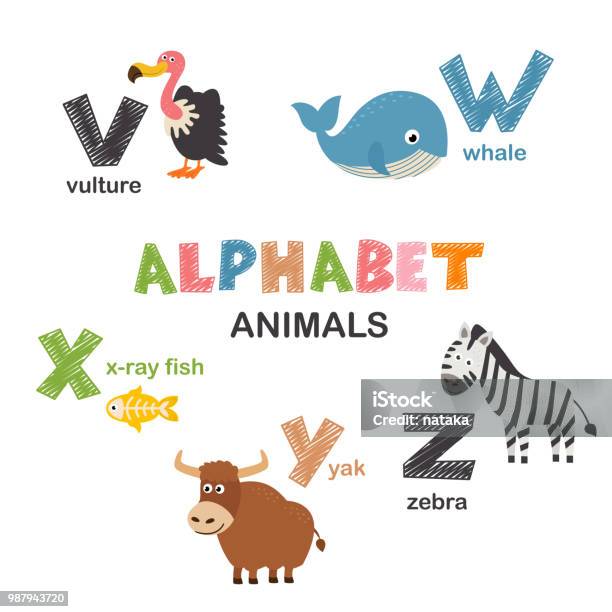 Alphabet With Animals V To Z Stock Illustration - Download Image Now -  Cute, Happiness, X-Ray Fish - iStock