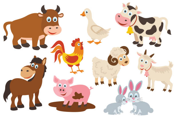 set of isolated farm animals set of isolated farm animals -  vector illustration, eps livestock stock illustrations