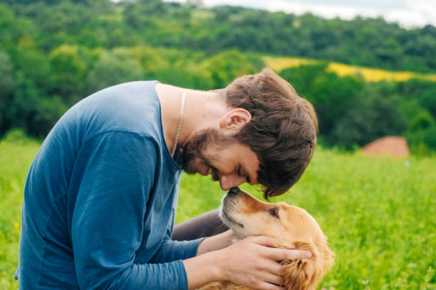 istock Guy and his dog, golden retriever, nature 987947074