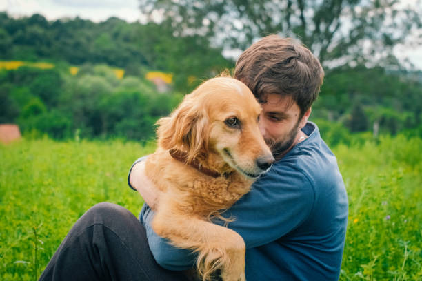istock Guy and his dog, golden retriever, nature 987953720