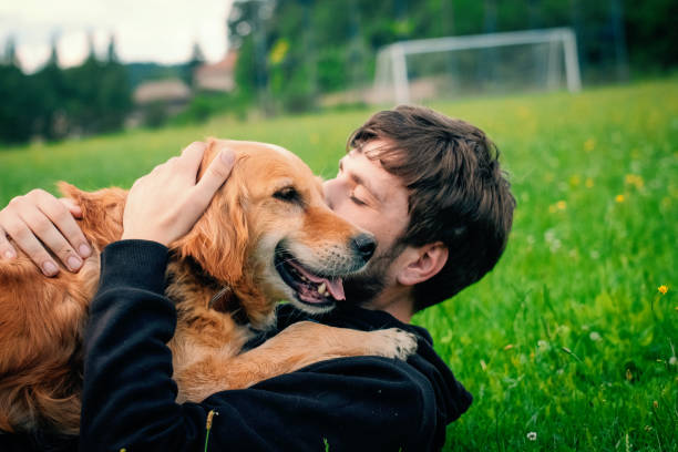 istock Guy and his dog, golden retriever, nature 987968286