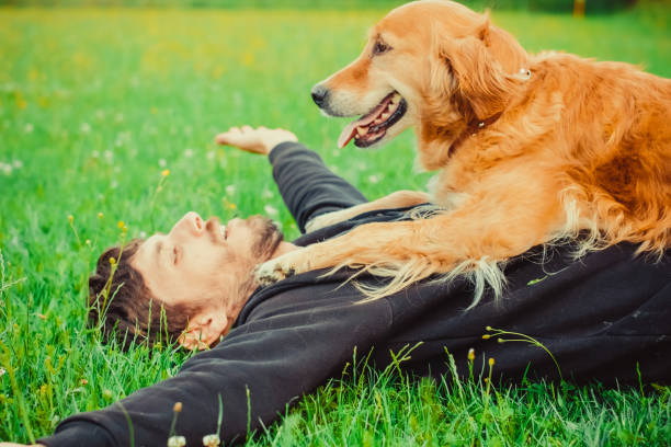 istock Guy and his dog, golden retriever, nature 987970122