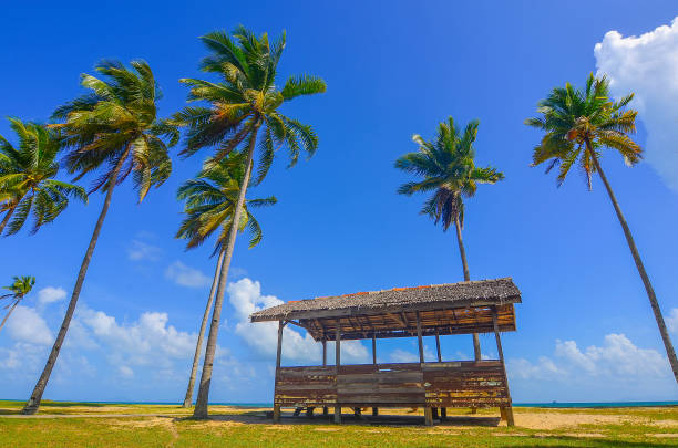 istock Single traditional hut surrounded by coconut / palm tree near the beach for a vacation. 987977012