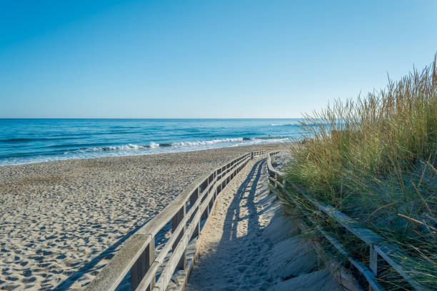 istock Wooden catwalk on the beach 987977854