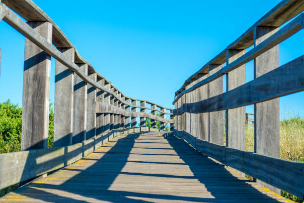 istock Wooden catwalk on the beach 987982930